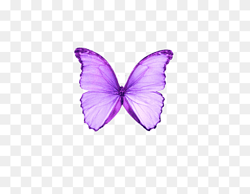 Butterfly Purple Color Moth, Dream purple butterfly, purple, blue, brush Footed Butterfly png thumbnail