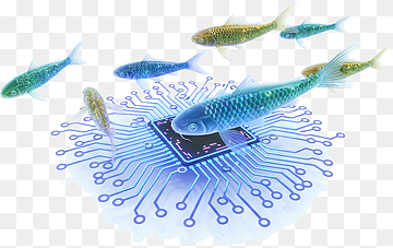 holografinen koi-kala ui piirilevyn läpi, älykäs kalasäiliön lämpötilan säätöjärjestelmä, png thumbnail