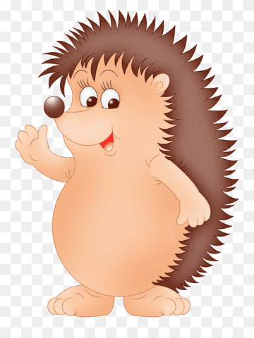 erizo cuteness, dibujado a mano erizo, mamífero, cara, animales png thumbnail