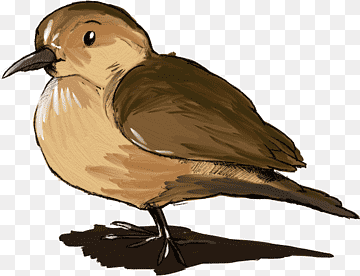 Beak Rufous hornero Bird Cygnini, Bird, animals, text, fauna png thumbnail