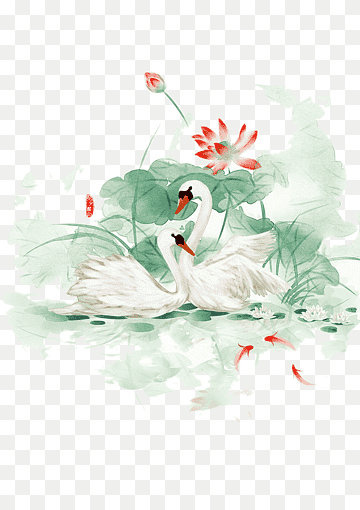 two white swans, Poster Watercolor painting, Hand-painted swan, white, painted, leaf png thumbnail