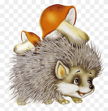 erizo europeo erizo de mar Истории про ёжика niño, erizo, mamífero, niño, animales png thumbnail