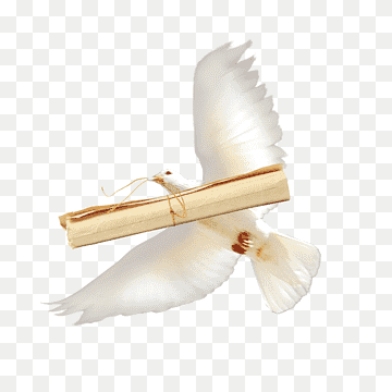 Homing pigeon Columbidae Bird Squab, Pigeon, animals, release Dove, doves As Symbols png thumbnail