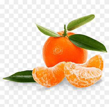 Mandarin orange Tangerine Clementine Satsuma Mandarin Grapefruit, jar, natural Foods, food, orange png thumbnail
