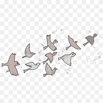 Bird migration Watercolor painting Water bird, Birds, watercolor Painting, angle, white png thumbnail