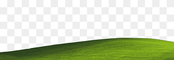 pradera pradera pastos pradera pradera, hierba, hoja, atmósfera, hierba png thumbnail