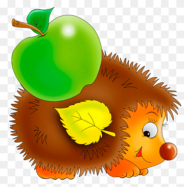 dibujo de erizo, erizo, comida, animales, mascota png thumbnail