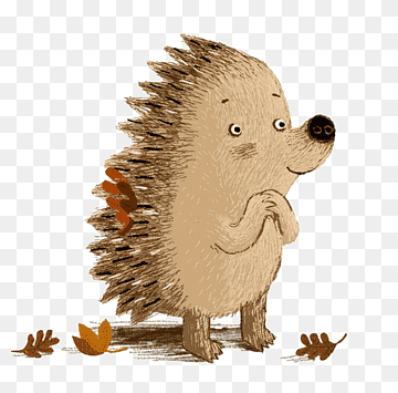erizo, erizo dibujado a mano, erizo de dibujos animados, animal png thumbnail