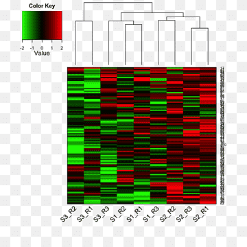 Varmekort Dendrogram Matrix Data, Dendrogram, vinkel, areal, cyan png thumbnail