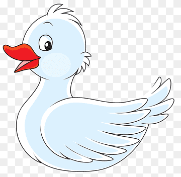 Cygnini Duck, White swan, white, animals, black White png thumbnail