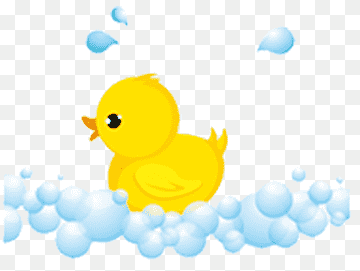 Donald Duck Bathing, Ducks take a bath, animals, vertebrate, computer Wallpaper png thumbnail