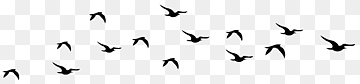 estados unidos de américa felicidad definición idioma inglés significado, aves voladoras siluetas, ángulo, texto, logo png thumbnail