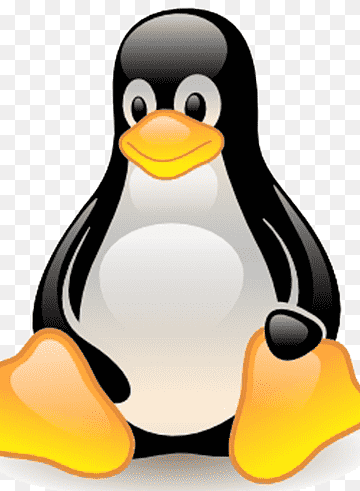 Linux-tietokoneohjelmistot Käyttöjärjestelmät Windows Server, linux, Arch Linux, nokka, Lintu png thumbnail