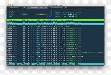Computersoftware Computerservere Dedikeret hostingtjeneste Linux WordPress, database, Computerservere, Computer software, database png thumbnail