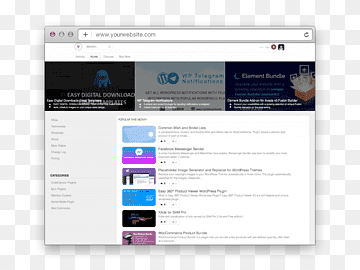 Computerprogramm-Plug-in-Theme-Vorlage WordPress, Jagd, Marke, Computer, Computer Programm png thumbnail