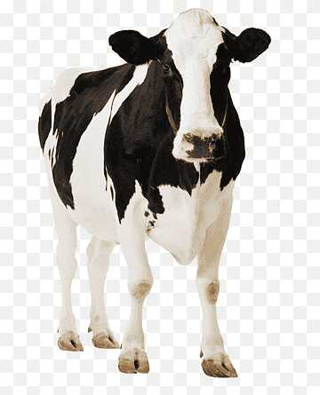 standee holstein friesian ganado cartel cartulina cartón, colección de animales, diverso, póster, familia de cabras de vaca png thumbnail