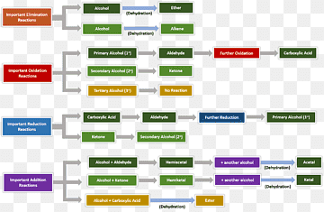 Computerprogramm-Materialmarke, Design, Bereich, Kunst, Marke png thumbnail