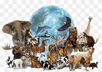World Animal Day Earth Wildlife Camel, earth, pet, fauna, animal png thumbnail