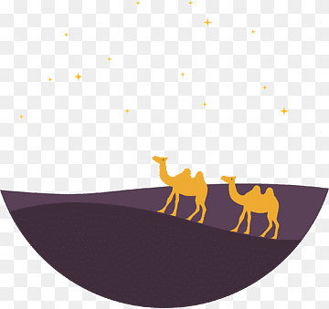 two camels walking along desert under starry sky art, Camel Eid al-Adha, Yellow camel, purple, animals, yellow Flowers png thumbnail
