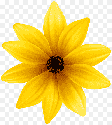 Ilustración de flor amarilla, pétalo de dalia amarilla, flor amarilla, girasol, familia, las flores png thumbnail