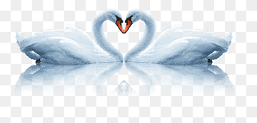Cygnini Bird Computer file, swan, love, blue, white png thumbnail