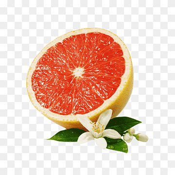 Grapefruit Pomelo Bergamot orange doTerra Essential oil, Grapefruit Gourmet s, natural Foods, food, orange png thumbnail