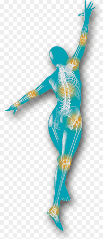 Beak Turquoise, others, arm, bird, human Body png thumbnail