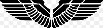 대머리 독수리 새, 날개, 동물, 로고, 날개 png thumbnail