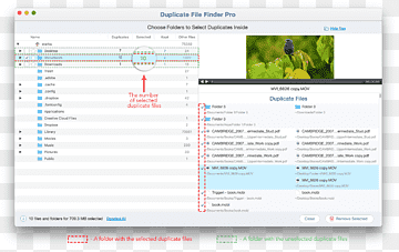 Programa de computador Finder Operating Systems, Duplicate, texto, computador, outros Programa de computador png thumbnail