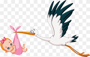 seagull carrying baby illustration, Infant Childbirth, stork, child, animals, galliformes png thumbnail