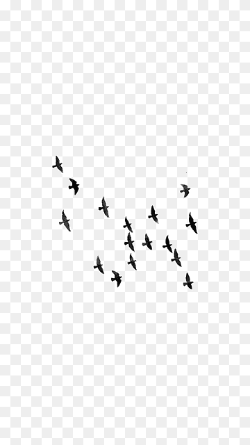Bird Editing, flock, animals, text, monochrome png thumbnail
