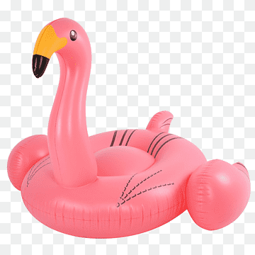 Flamingo Inflatable Bouncers Water bird, flamingos, beach, animals, waterproofing png thumbnail