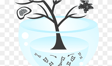 Instituto Max Planck de dinámica y autoorganización. Biología de la sociedad. Max Planck Society Genética, sociedad europea para la biología evolutiva., amor, texto, rama png thumbnail