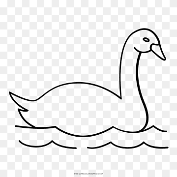 Duck Cygnini Goose Drawing Coloring book, duck, white, animals, text png thumbnail