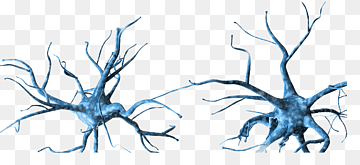 Neuron nervesystem, holografisk, kunstværk, hjerne, afdeling png thumbnail