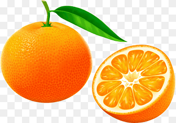 Tangerine Mandarin orange Grapefruit Clementine, orange, natural Foods, food, citrus png thumbnail