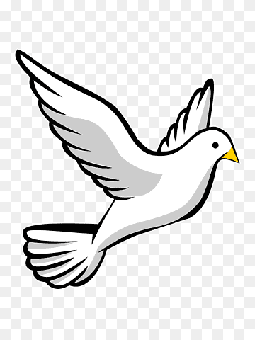 Columbidae Free content, pigeon, white, animals, monochrome png thumbnail