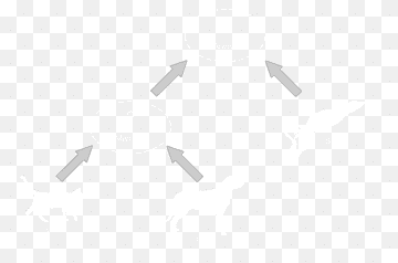 Inheritance Object-oriented programming Class Is-a, Objectoriented Programming, angle, white, class png thumbnail