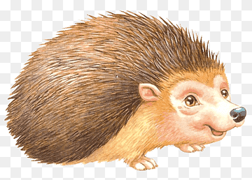 erizo domesticado erizo europeo, erizo, mamífero, pintado, animales png thumbnail