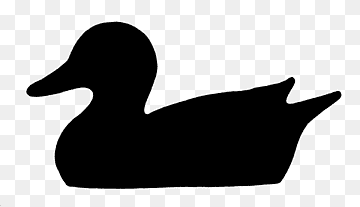 Duck, Water Bird, Silhouette, png thumbnail
