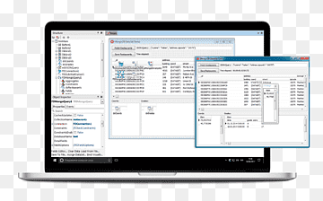 Programa de computador Embarcadero Technologies Computer Software Database System, tecnologia, eletrônica, computador, programa de computador png thumbnail