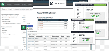 Computer Software Computer program Multimedia Screenshot, income, text, computer, computer Program png thumbnail