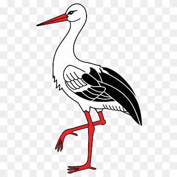 Stork Bird, stork, animals, vertebrate, fauna png thumbnail