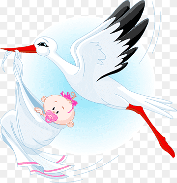 Stork Infant, stork, child, animals, vertebrate png thumbnail