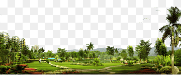 long-angle graphy of scenery, Advertising Real property u697cu76d8 Architectural engineering, Real estate ad elements Green Park, landscape, palm Tree, grass png thumbnail