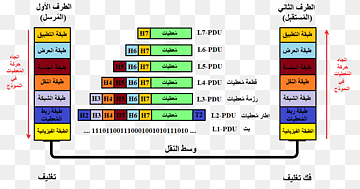 Computerprogramm-Webseitenzeile, Computer, Bereich, Marke, verbreitet png thumbnail