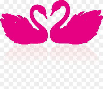 Cygnini Drawing, swan, love, animals, text png thumbnail
