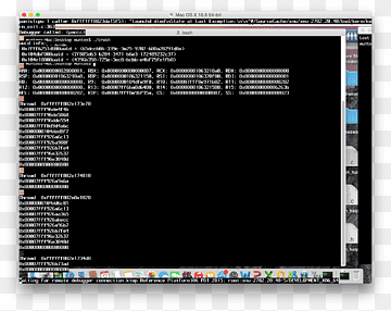 Programa de computador Kernel panic launchd macOS, apple, eletrônica, texto, fruta Porca png thumbnail