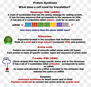 Web page Computer program Line, line, text, computer, computer Program png thumbnail