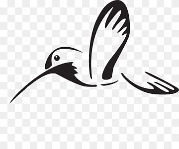 Beak Water bird White, Bird, white, animals, logo png thumbnail